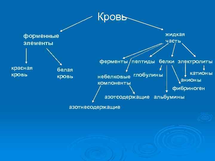 Кровь жидкая часть форменные элементы ферменты пептиды белки электролиты красная кровь белая кровь небелковые