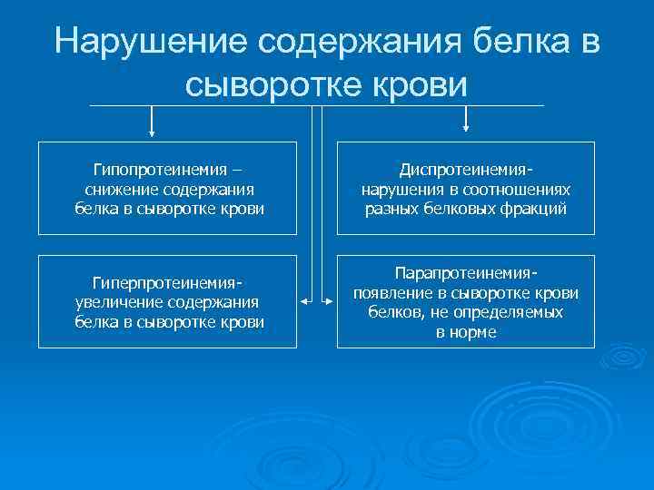 Нарушение содержания белка в сыворотке крови Гипопротеинемия – снижение содержания белка в сыворотке крови