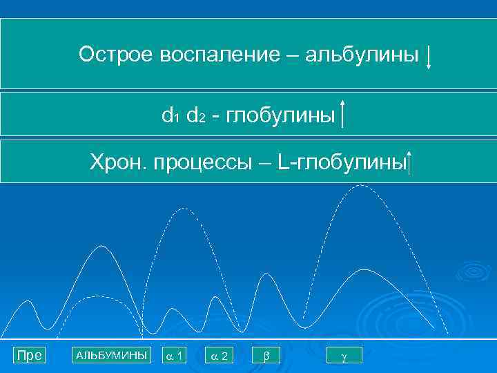 Острое воспаление – альбулины d 1 d 2 - глобулины Хрон. процессы – L-глобулины