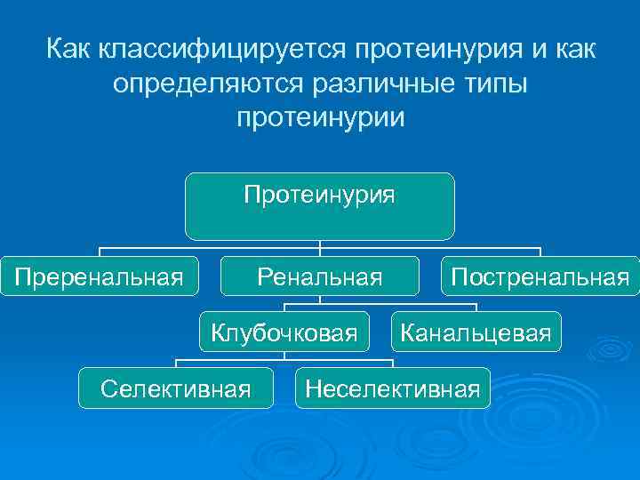 Как классифицируется протеинурия и как определяются различные типы протеинурии Протеинурия Преренальная Ренальная Клубочковая Селективная