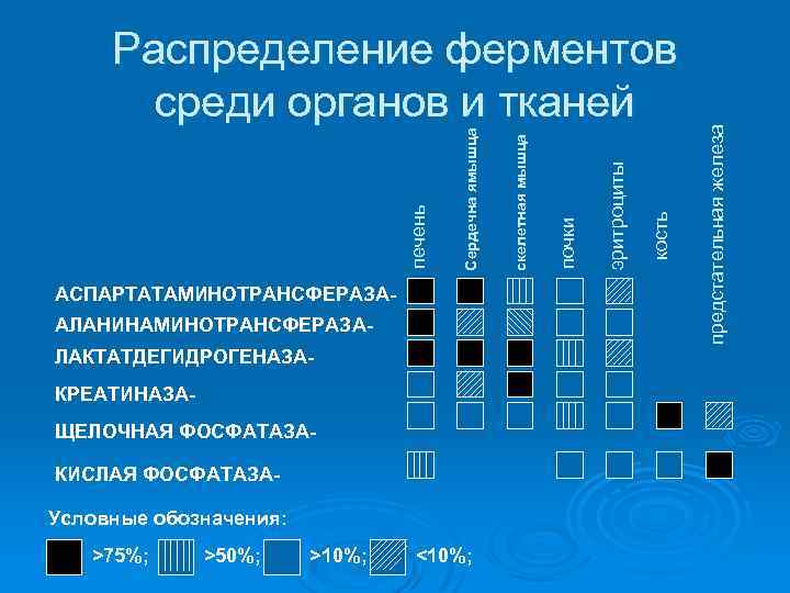 АЛАНИНАМИНОТРАНСФЕРАЗАЛАКТАТДЕГИДРОГЕНАЗАКРЕАТИНАЗАЩЕЛОЧНАЯ ФОСФАТАЗАКИСЛАЯ ФОСФАТАЗАУсловные обозначения: >75%; >50%; >10%; <10%; кость эритроциты почки предстательная железа АСПАРТАТАМИНОТРАНСФЕРАЗА-