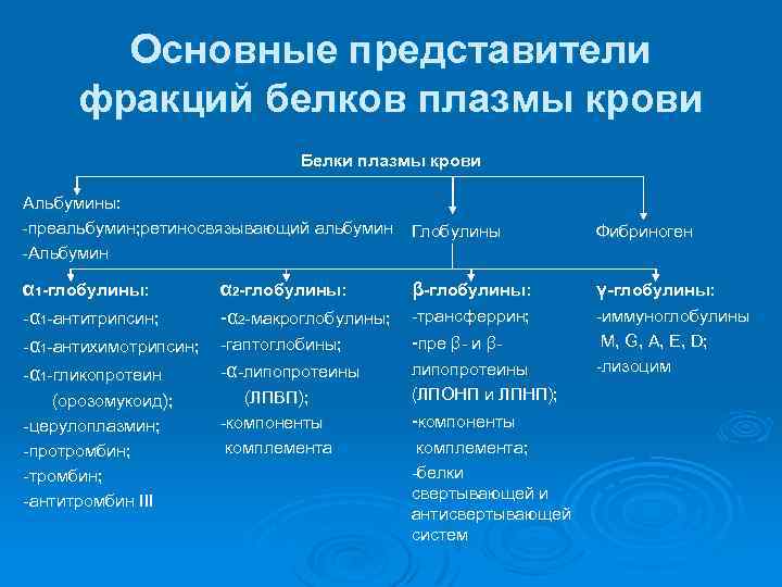 Основные представители фракций белков плазмы крови Белки плазмы крови Альбумины: -преальбумин; ретиносвязывающий альбумин Глобулины