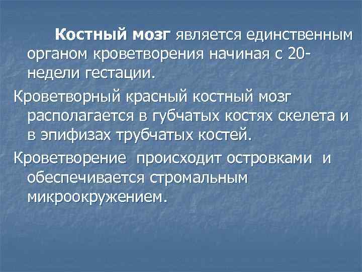 Костный мозг является единственным органом кроветворения начиная с 20 недели гестации. Кроветворный красный костный