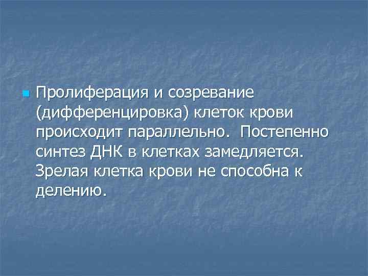 n Пролиферация и созревание (дифференцировка) клеток крови происходит параллельно. Постепенно синтез ДНК в клетках