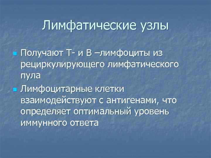 Лимфатические узлы n n Получают Т- и В –лимфоциты из рециркулирующего лимфатического пула Лимфоцитарные