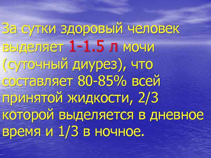 За сутки здоровый человек выделяет 1 -1. 5 л мочи (суточный диурез), что составляет