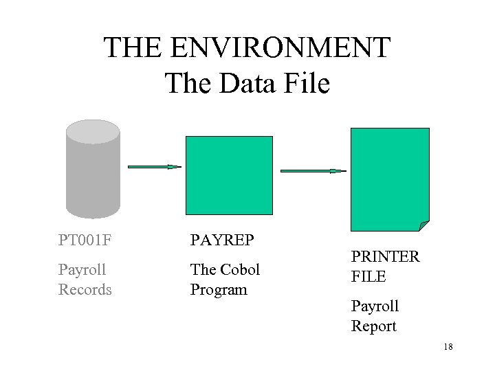 THE ENVIRONMENT The Data File PT 001 F PAYREP Payroll Records The Cobol Program
