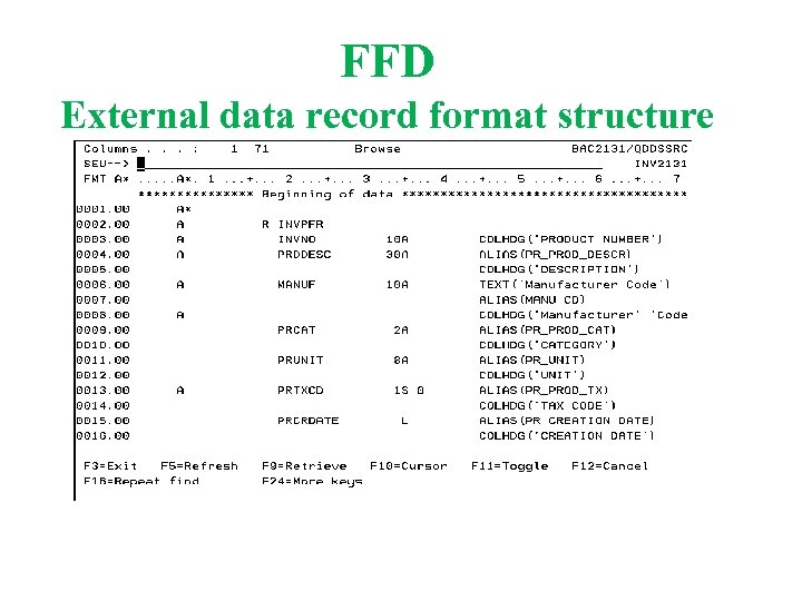 FFD External data record format structure 