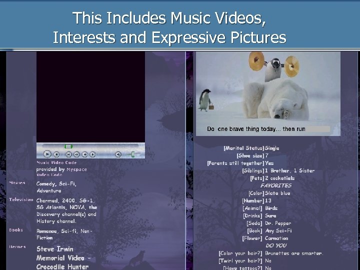 This Includes Music Videos, Interests and Expressive Pictures 