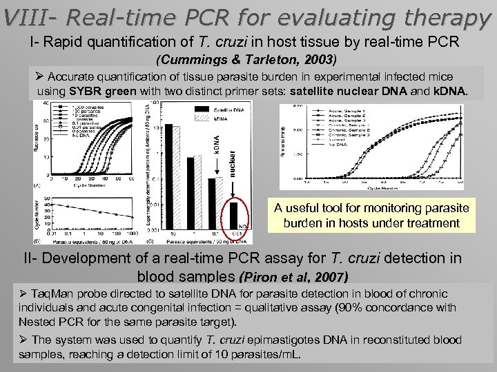 VIII- Real-time PCR for evaluating therapy I- Rapid quantification of T. cruzi in host