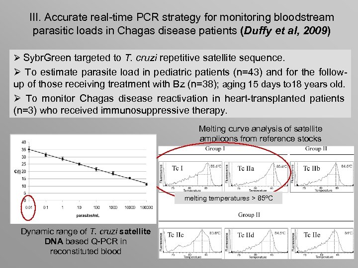 III. Accurate real-time PCR strategy for monitoring bloodstream parasitic loads in Chagas disease patients