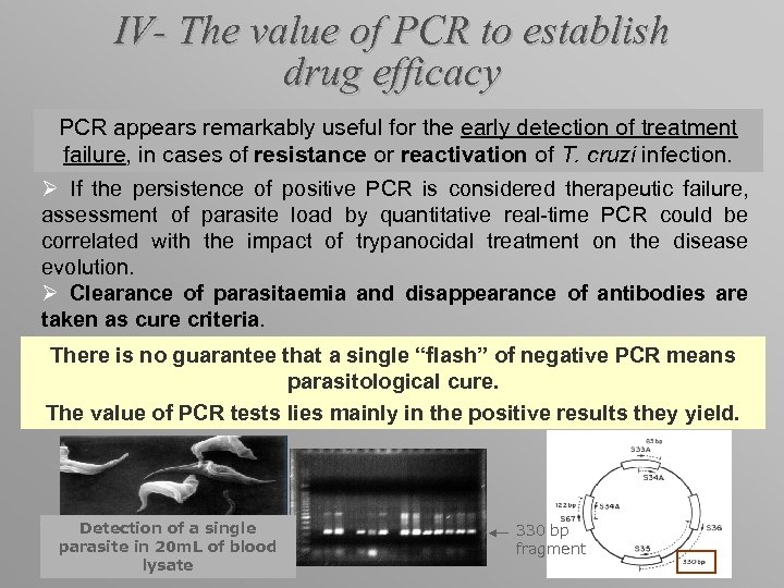 IV- The value of PCR to establish drug efficacy PCR appears remarkably useful for