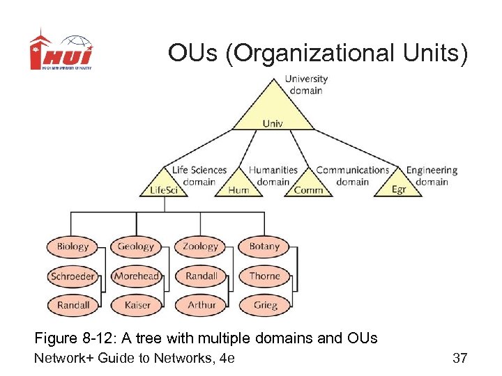 OUs (Organizational Units) Figure 8 -12: A tree with multiple domains and OUs Network+