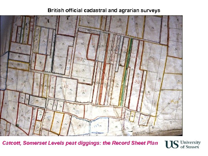 British official cadastral and agrarian surveys Catcott, Somerset Levels peat diggings: the Record Sheet