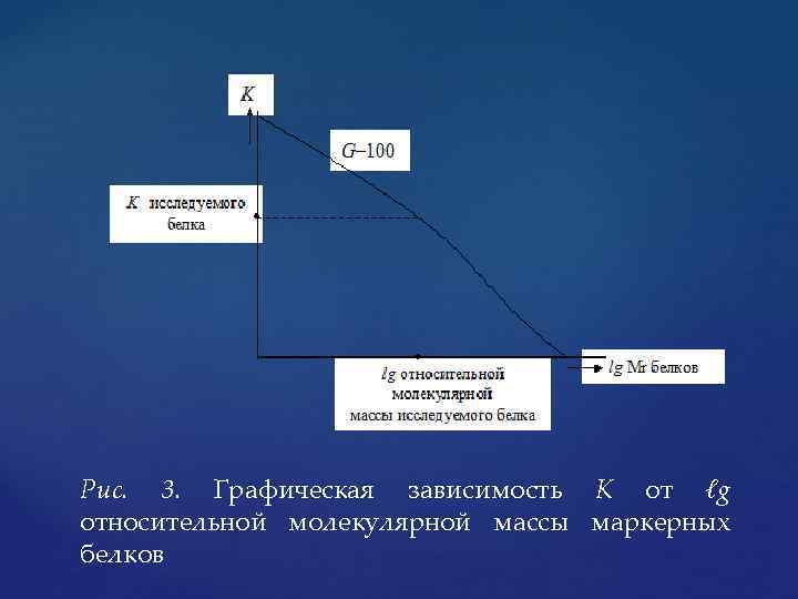 Рис. 3. Графическая зависимость К от ℓg относительной молекулярной массы маркерных белков 