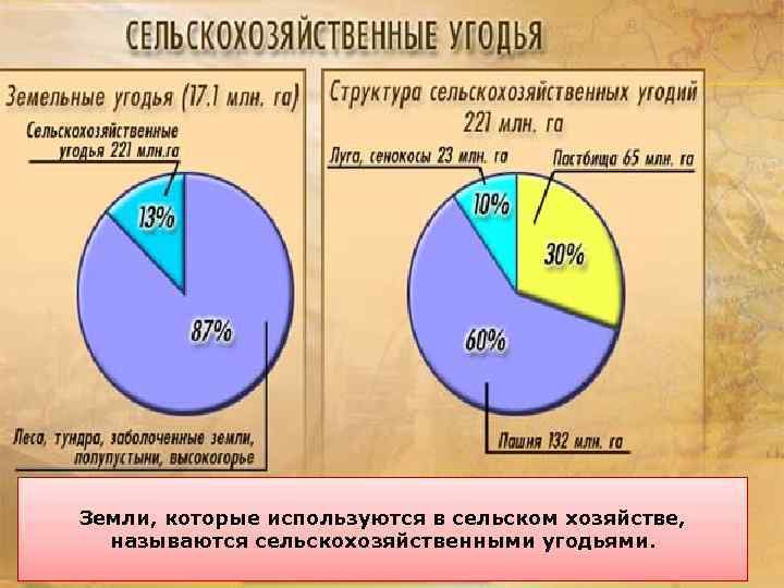 Земли, которые используются в сельском хозяйстве, называются сельскохозяйственными угодьями. 