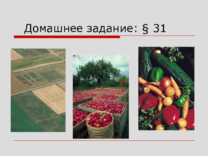 Домашнее задание: § 31 