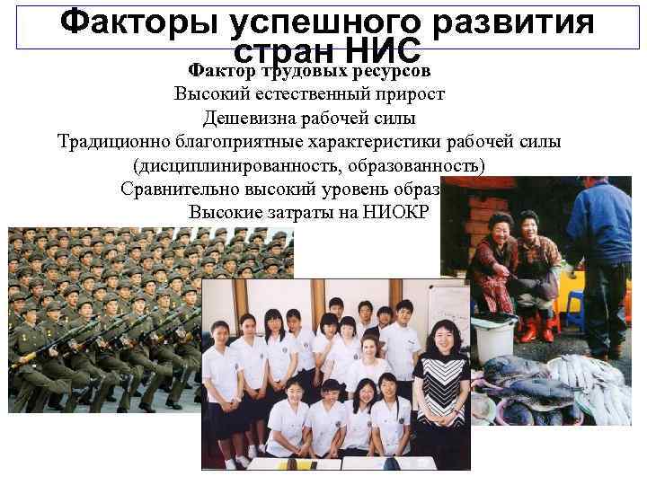 Факторы успешного развития стран НИС Фактор трудовых ресурсов Высокий естественный прирост Дешевизна рабочей силы