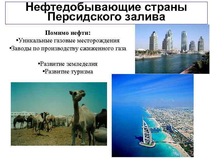 Нефтедобывающие страны Персидского залива Помимо нефти: • Уникальные газовые месторождения • Заводы по производству