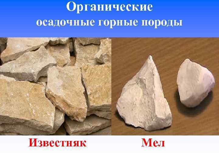 Органические осадочные горные породы Известняк Мел 