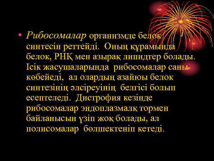  • Рибосомалар организмде белок синтесін реттейді. Оның құрамында белок, РНҚ мен азырақ липидтер