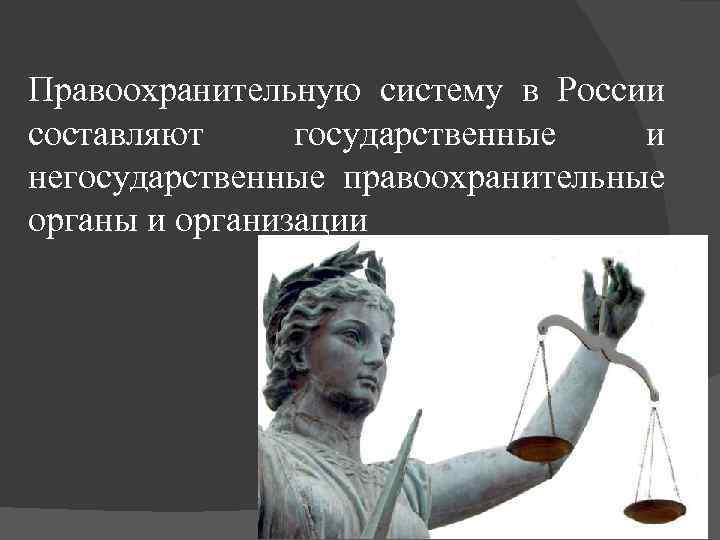 Правоохранительную систему в России составляют государственные и негосударственные правоохранительные органы и организации 