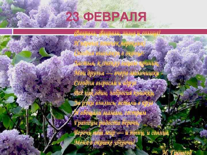23 ФЕВРАЛЯ Февраль, февраль, зима и солнце! И первых птичек переклик! Сегодня выглянул в