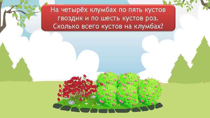 На четырёх клумбах по пять кустов гвоздик и по шесть кустов роз. Сколько всего