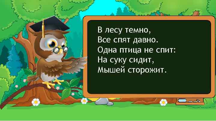 В лесу темно, Все спят давно. Одна птица не спит: На суку сидит, Мышей