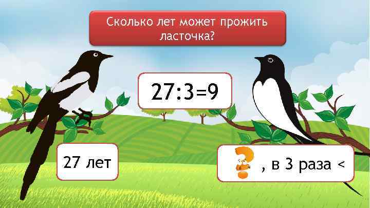 Сколько лет может прожить ласточка? 27: 3=9 27 лет , в 3 раза <