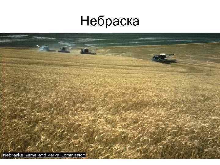 Небраска 