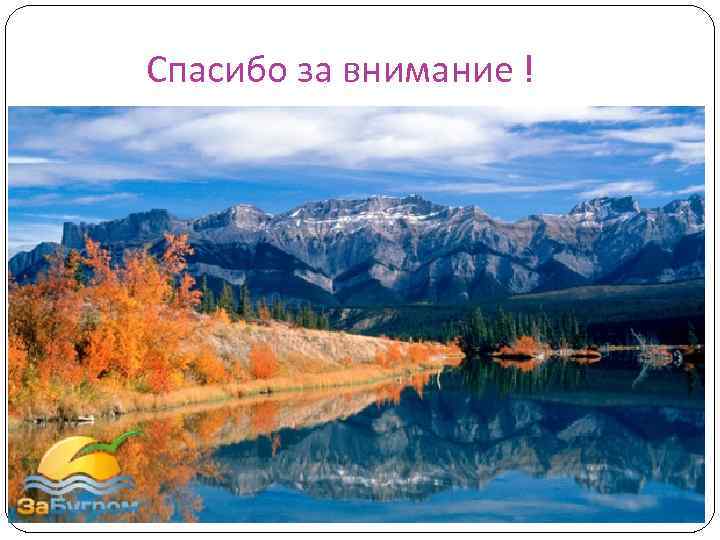 Спасибо за внимание ! 