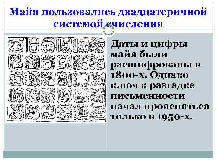 Майя пользовались двадцатеричной системой счисления Даты и цифры майя были расшифрованы в 1800 -х.