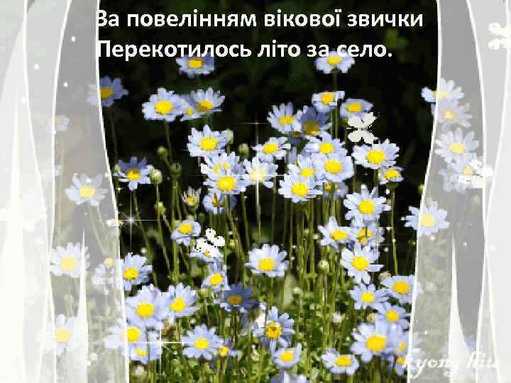 За повелінням вікової звички Перекотилось літо за село. 