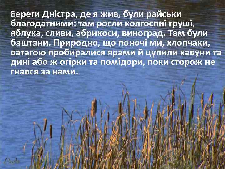 Береги Дністра, де я жив, були райськи благодатними: там росли колгоспні груші, яблука, сливи,