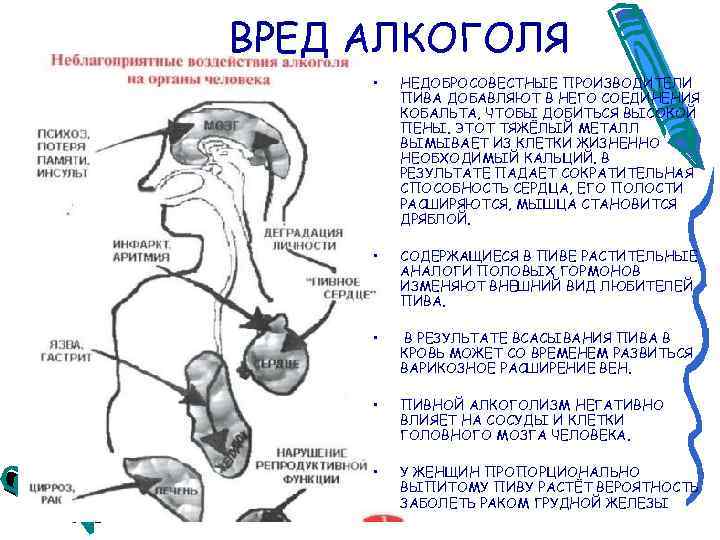 ВРЕД АЛКОГОЛЯ • НЕДОБРОСОВЕСТНЫЕ ПРОИЗВОДИТЕЛИ ПИВА ДОБАВЛЯЮТ В НЕГО СОЕДИНЕНИЯ КОБАЛЬТА, ЧТОБЫ ДОБИТЬСЯ ВЫСОКОЙ