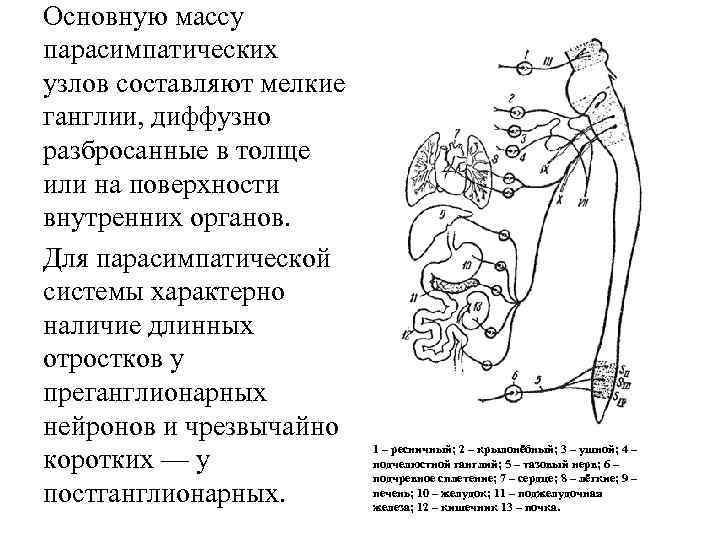 Холинергические средства фармакология презентация