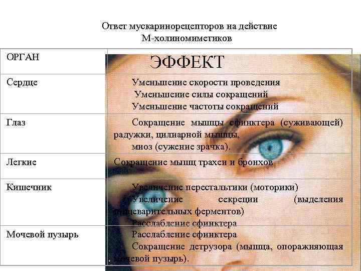 Ответ мускаринорецепторов на действие М холиномиметиков ОРГАН ЭФФЕКТ Сердце Уменьшение скорости проведения Уменьшение силы
