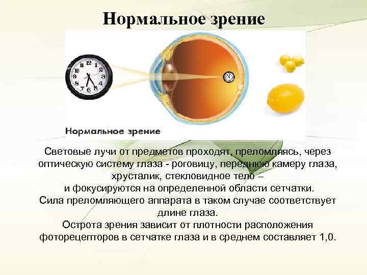 Человек с нормальным зрением рассматривает предмет невооруженным глазом на сетчатке изображение