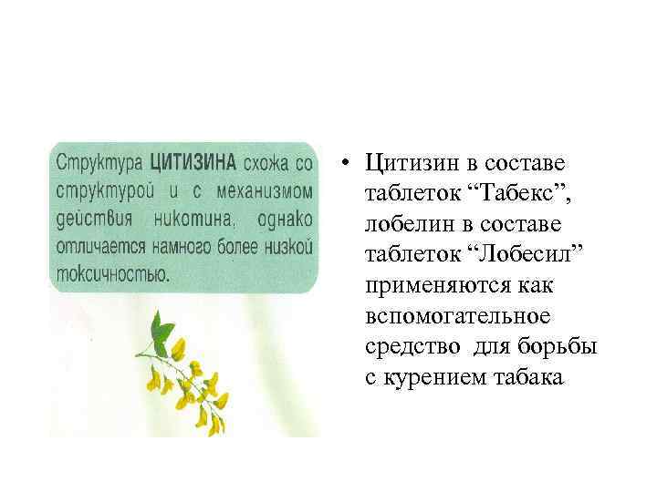  • Цитизин в составе таблеток “Табекс”, лобелин в составе таблеток “Лобесил” применяются как