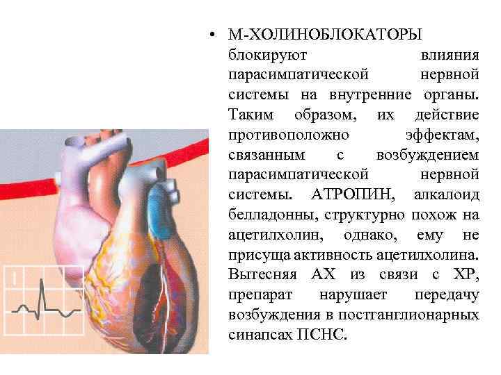 Холинергические средства фармакология презентация