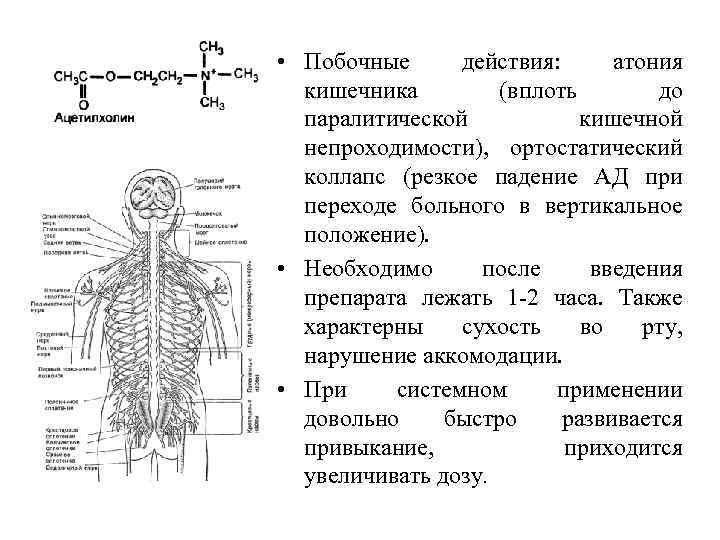 • Побочные действия: атония кишечника (вплоть до паралитической кишечной непроходимости), ортостатический коллапс (резкое