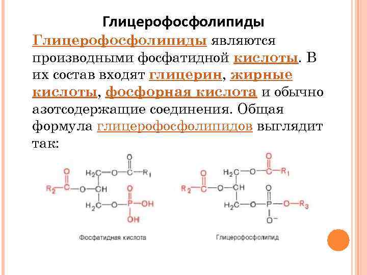 Глицерин и жирные кислоты