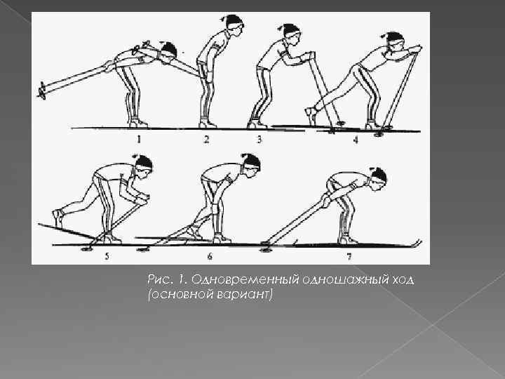 Рис. 1. Одновременный одношажный ход (основной вариант) 