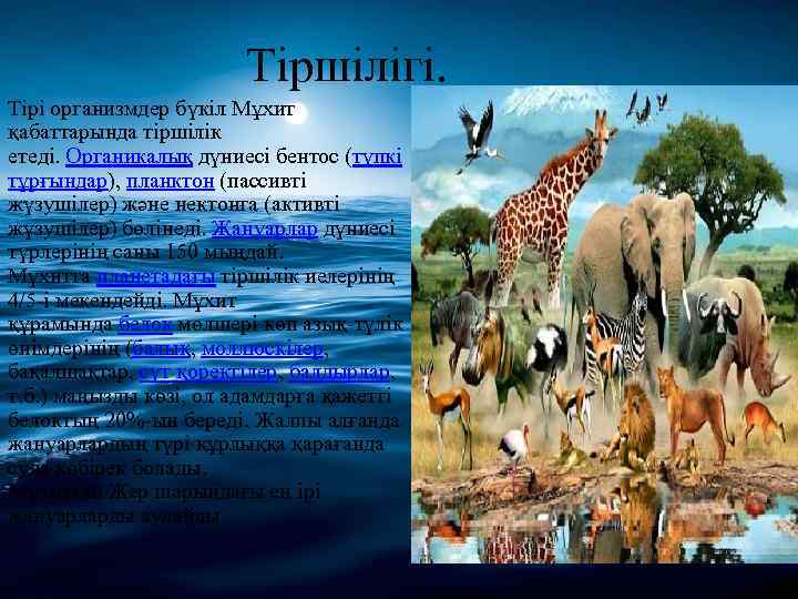 Тіршілігі. Тірі организмдер бүкіл Мұхит қабаттарында тіршілік етеді. Органикалық дүниесі бентос (түпкі тұрғындар), планктон