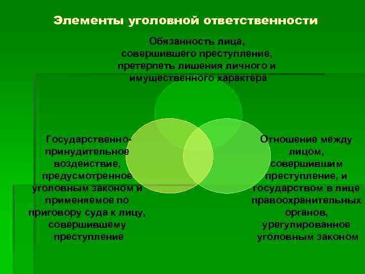 Элементы уголовной ответственности Обязанность лица, совершившего преступление, претерпеть лишения личного и имущественного характера Государственнопринудительное
