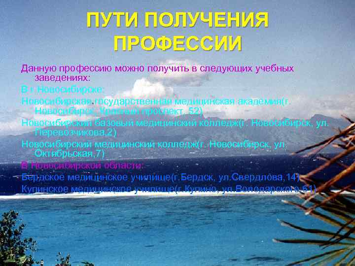 ПУТИ ПОЛУЧЕНИЯ ПРОФЕССИИ Данную профессию можно получить в следующих учебных заведениях: В г. Новосибирске: