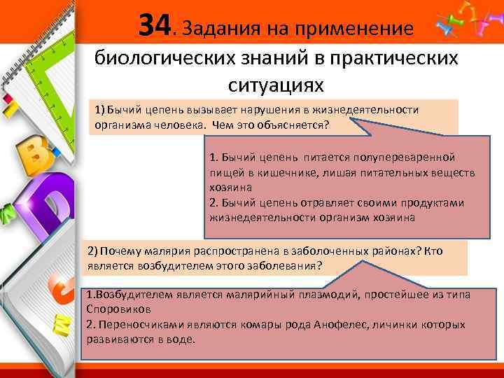 34. Задания на применение биологических знаний в практических ситуациях 1) Бычий цепень вызывает нарушения