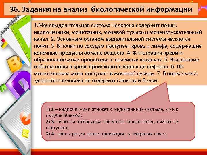 36. Задания на анализ биологической информации 1. Мочевыделительная система человека содержит почки, надпочечники, мочеточник,