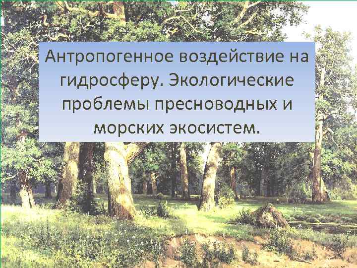Антропогенное воздействие на гидросферу. Экологические проблемы пресноводных и морских экосистем. 